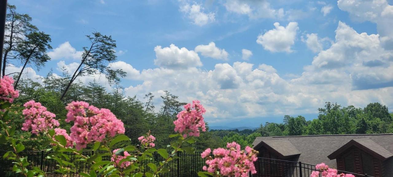 The Bear Paw Palace Mtn View And Community Pools Pigeon Forge Exterior foto