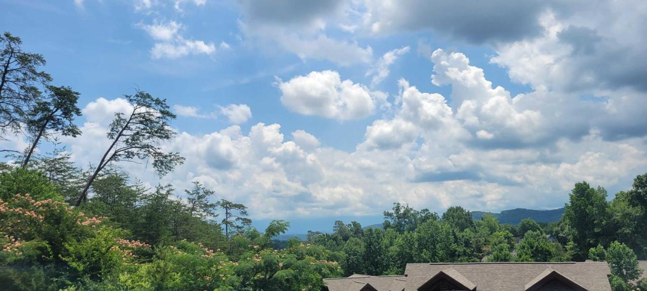 The Bear Paw Palace Mtn View And Community Pools Pigeon Forge Exterior foto